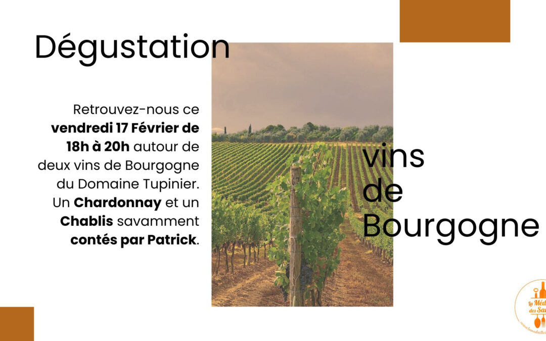 Dégustation vins de Bourgogne ce vendredi